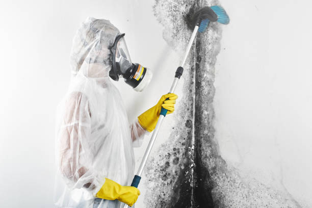Best Forensic Mold Investigation  in Howards Grove, WI