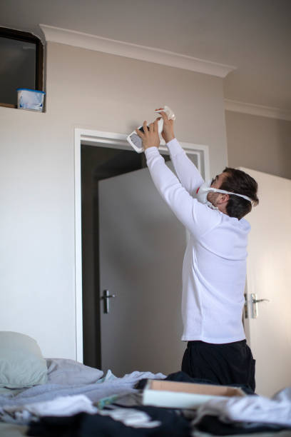 Best Mold Odor Removal Services  in Howards Grove, WI