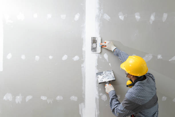 Best Environmental Consulting for Mold Prevention  in Howards Grove, WI