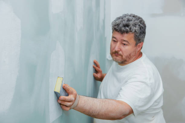 Mold Documentation for Insurance Claims in Howards Grove, WI