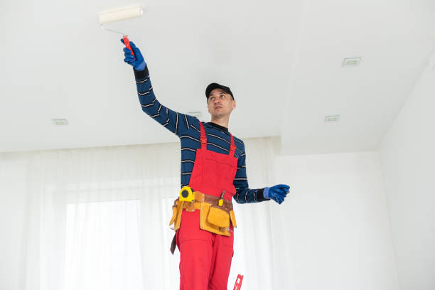 Best Mold Documentation for Insurance Claims  in Howards Grove, WI
